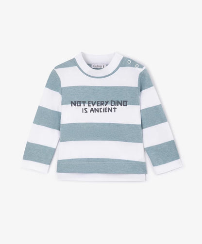 Gulliver Blue Long sleeve T-shirt for Baby Boys