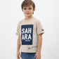 Gulliver Beige T-shirt for Boys
