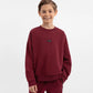 Gulliver Burgundy Oversized Sweatshirt with Decorative Distressing for Boys