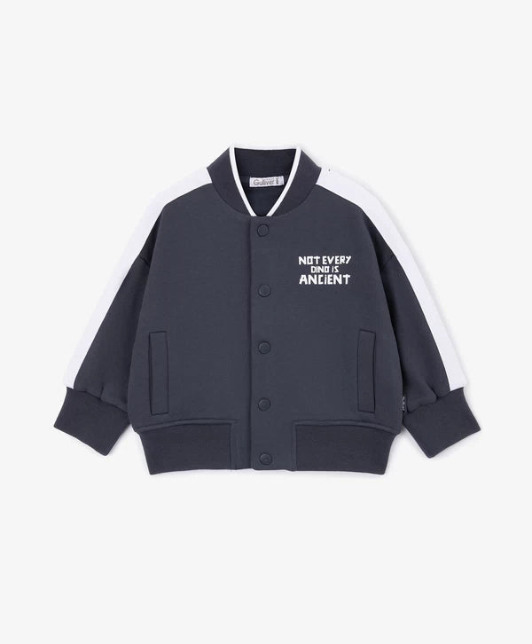 Gulliver Zip-Up Blue Sweatshirt for Baby Boys