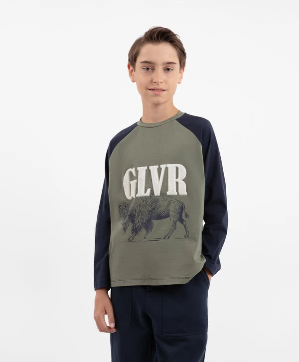 Gulliver Navy blue Bison Print Long Sleeve Jersey for Boys