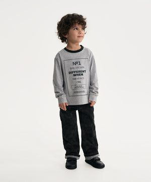 Gulliver Gray Printed Long sleeve T-shirt for Boy Mini- Gullliver FM