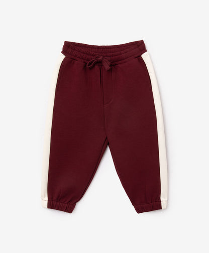 Gulliver Burgundy Knitted Jogger Pants with Elastic Waistband for Baby Boy-Dachshund