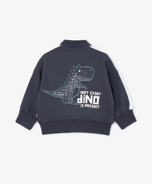 Gulliver Zip-Up Blue Sweatshirt for Baby Boys
