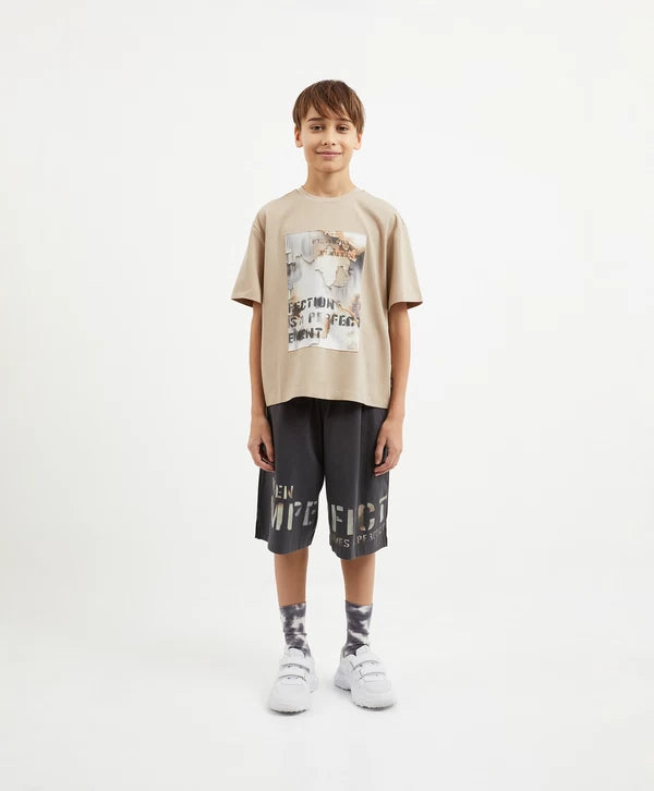 Gulliver Beige Relaxed Fit Short Sleeve T-Shirt for Boy Junior-Decoupage