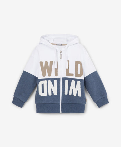 Gulliver Blue Sweatshirt for Boys