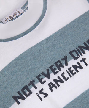 Gulliver Blue Long sleeve T-shirt for Baby Boys