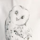 Gulliver Long sleeve t-shirt Milky color for Girls Mini - Polar Owl