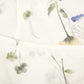 Gulliver Blouses White for Girls Baby-Buttercups