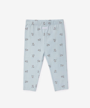 Gulliver Newborn trousers, set of 3 pairs Multicolored for Boys-North Pole